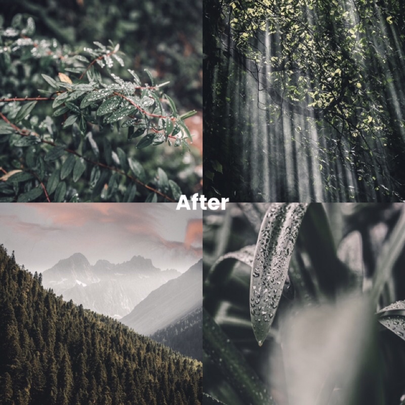 FOLK GREEN PRESET LIGHTROOM (iOS &amp; ANDROID)