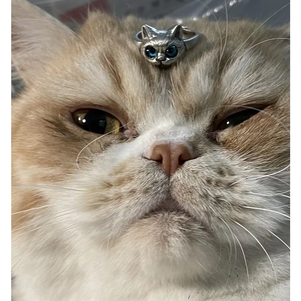 Cincin Jari Telunjuk Model Mata Kucing Gaya Vintage Untuk Wanita