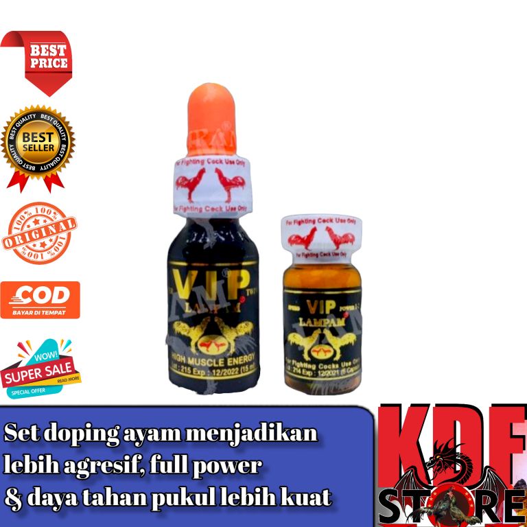 Doping Ayam VIP Twins Lampam Gold - Persiapan Laga Istimewa