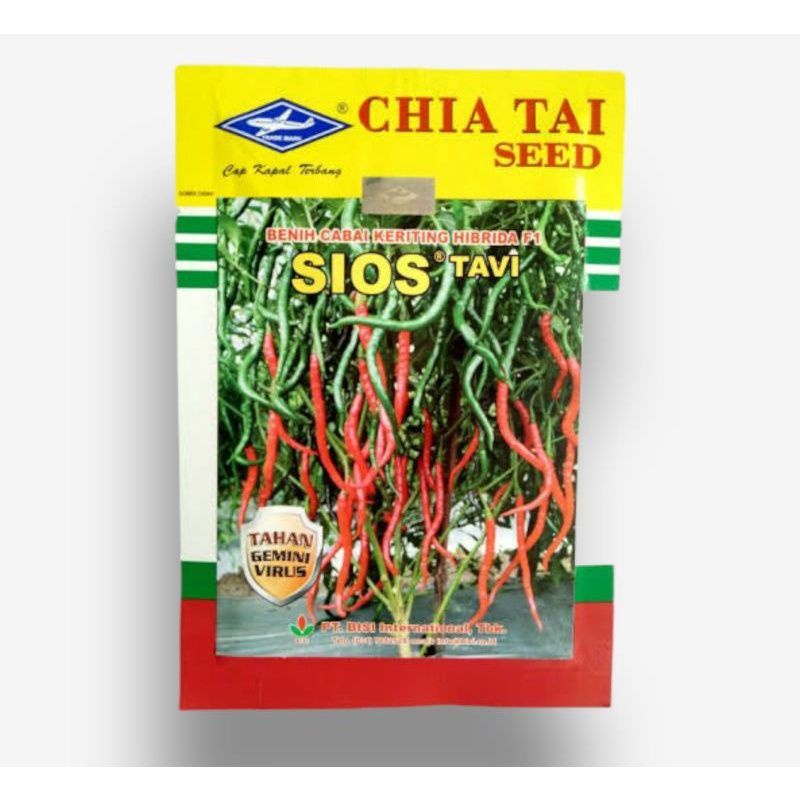 BENIH CABAI MERAH KERITING SIOS TAVI - BIBIT CABE PLUNTER/TAMPAR KAPAL TERBANG