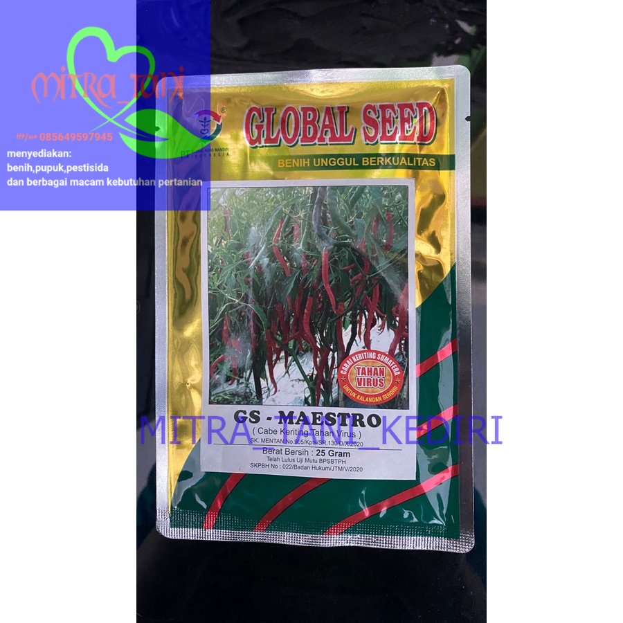 Benih Cabe Keriting Sumatera Tahan Virus GS MAESTRO isi 25gram dari GLOBAL SEED