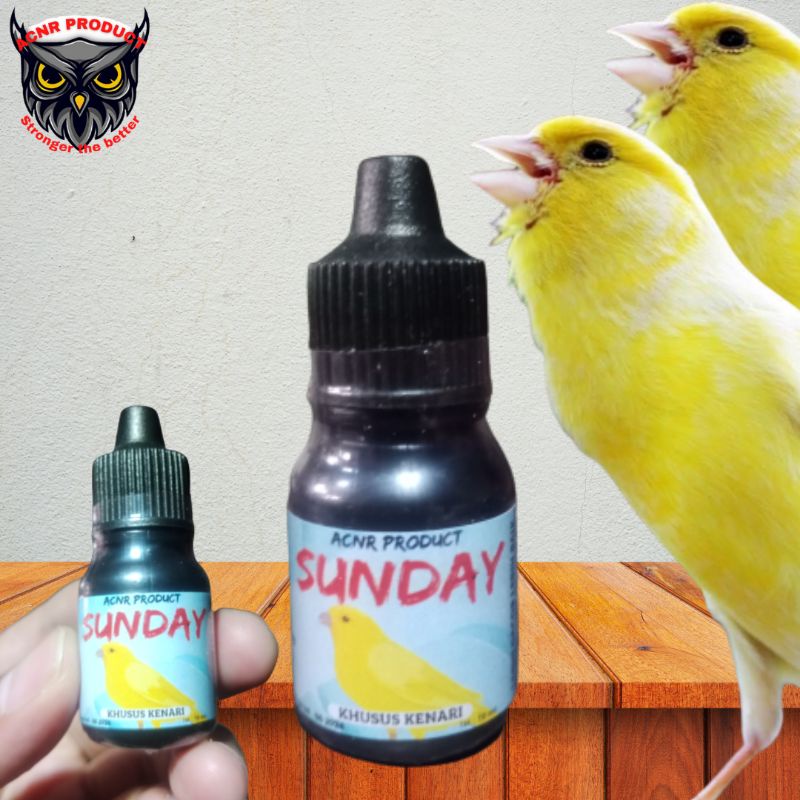 VITAMIN PENGGACOR BURUNG KENARI SUNDAY PENGGACOR BURUNG KENARI VITAMIN GACOR BURUNG KENARI OBAT GACO