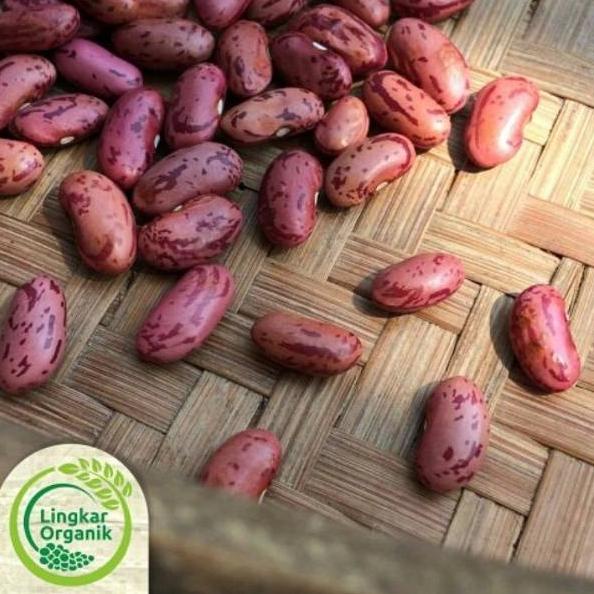 

ウ KACANG MERAH 100 gram Lingkar Organik ㄳ