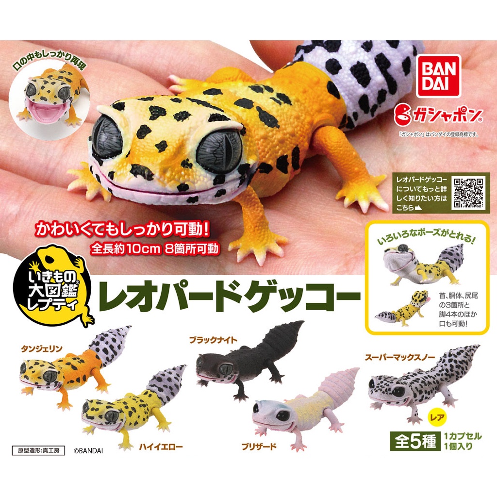 Leopard Gecko Ikimono Daizukan Repti Dangomushi Figure Kadal Bandai Gashapon Gacha