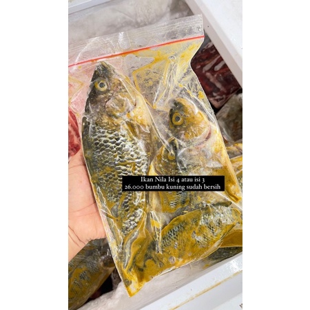 Jual Ikan Nila Bumbu Kuning Shopee Indonesia
