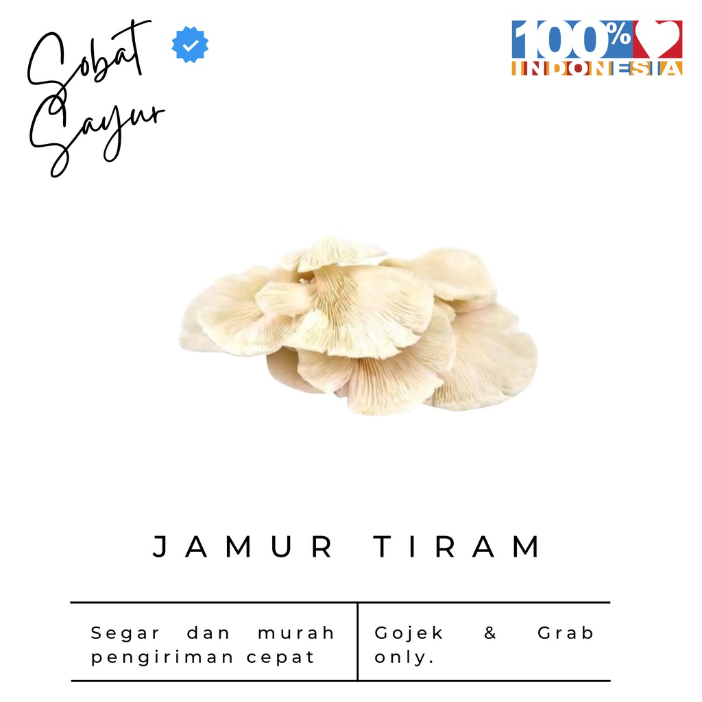 Jual Oyster Mushroom Jamur Tiram Surabaya Shopee Indonesia