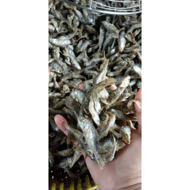 

IKAN BILIH SINGKARAK KEMASAN EKONOMIS