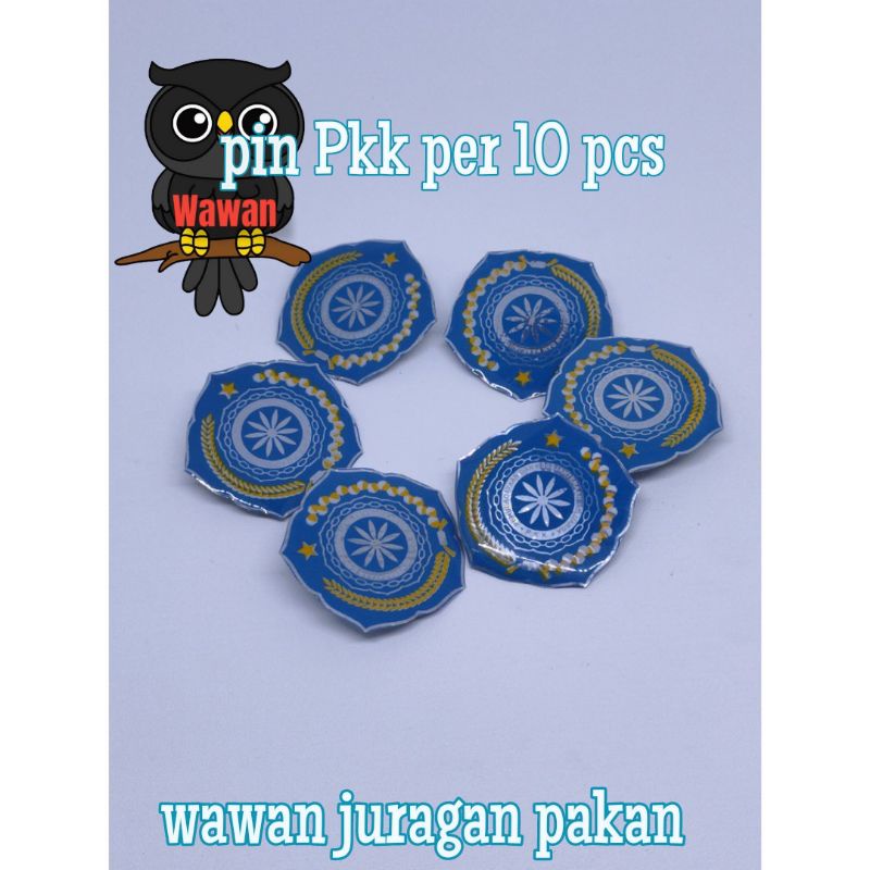 PIN PKK ISI 10 PCS