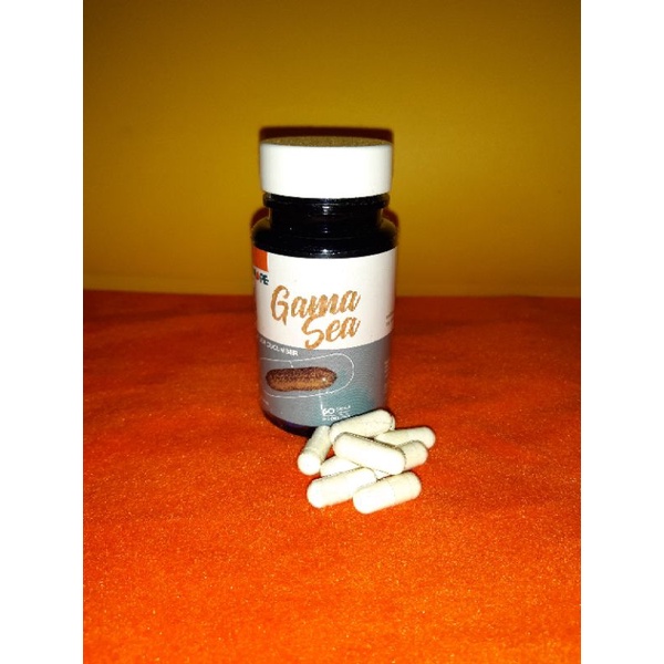 Gama sea Gonden sea Cucumber