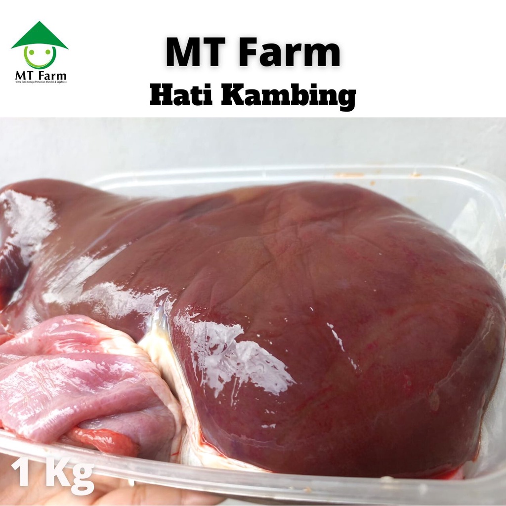 

Hati Kambing Segar Ati Domba Frozen 1 Kg