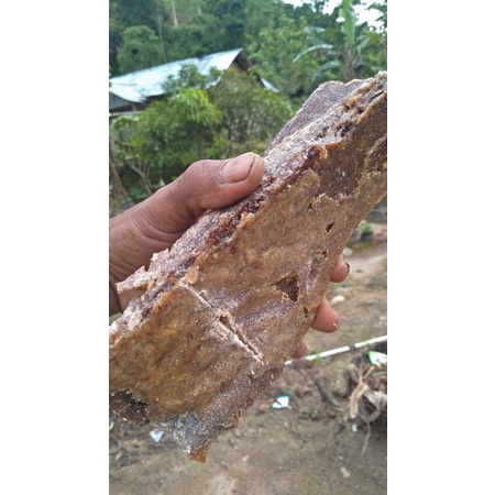 

sarang lbah kelanceng