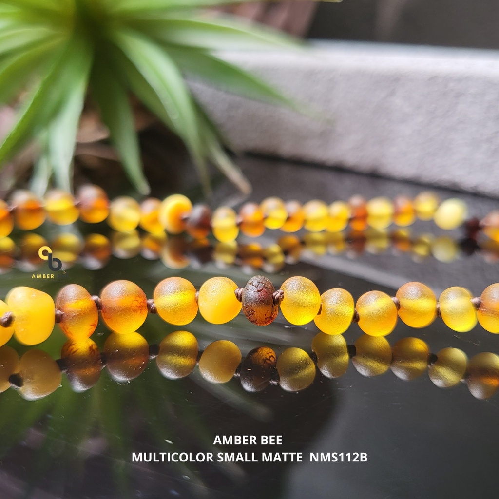 Kalung Amber Baltic Anak Tumbuh Gigi Multicolor Matte NMS112B by Amber Bee