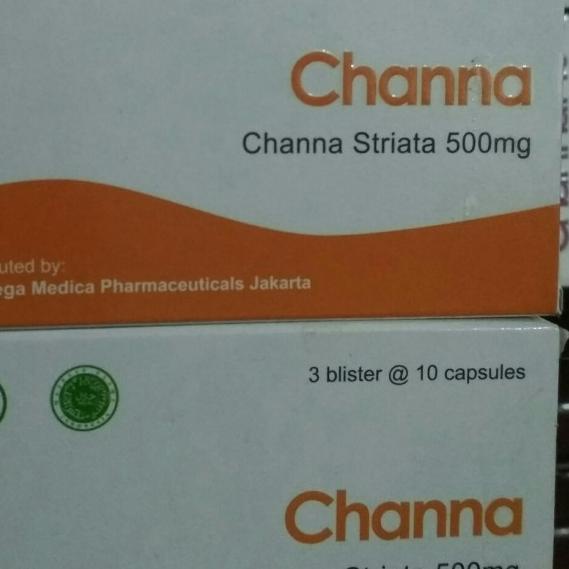 channa striata 500mg ekstrak ikan gabus