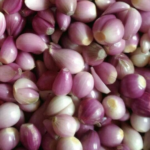 

Sayur Segar Bawang Merah Kupas 250 Gram