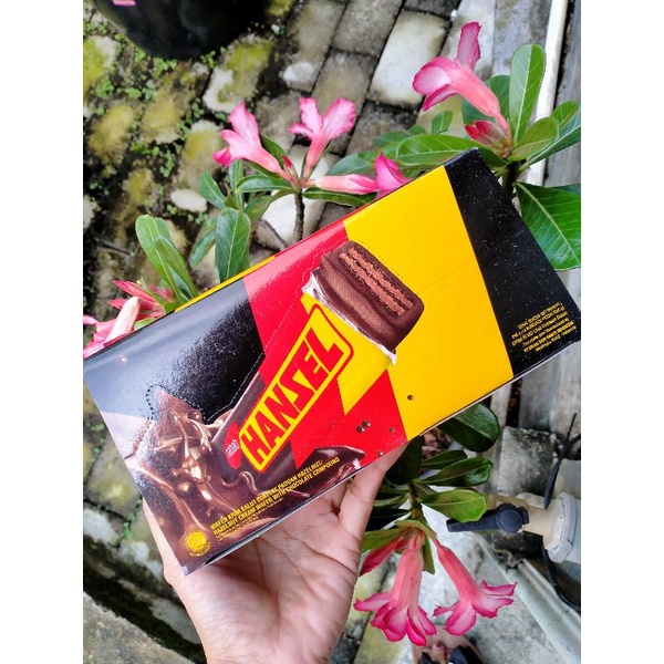 

(KSY) NABATI HANZEL COKELAT 12X24GR