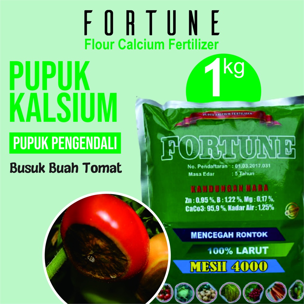 PUPUK KALSIUM FORTUNE 1KG Obat Hama Penyakit Layu / Kering Daun Tomat - Fortune Fungisida Hayati Oba