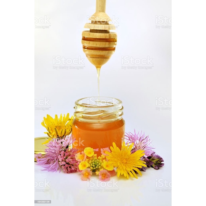 Madu Hutan Asli / Pure Raw Honey (1kg)