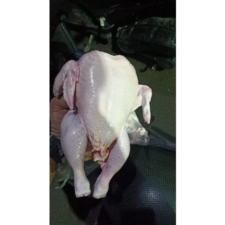 

Ayam utuh frozen 1kg