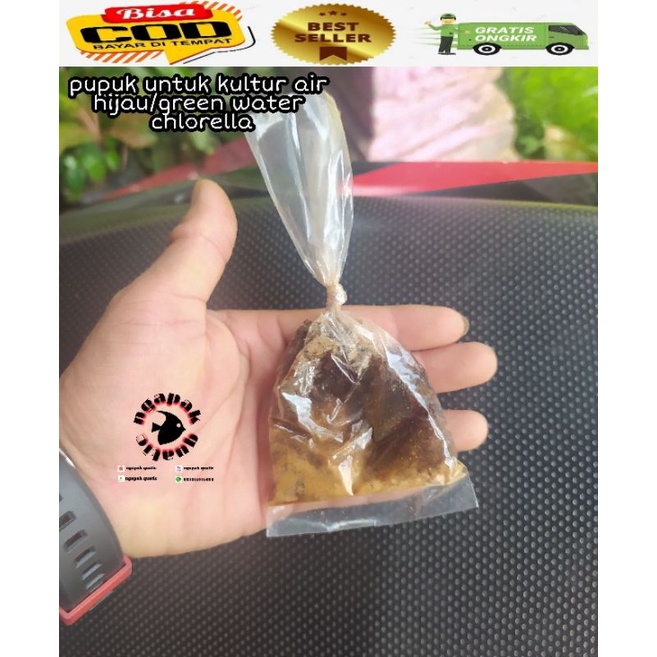 pupuk fermentasi untuk kultur air hijau / chlorella / kutu air
