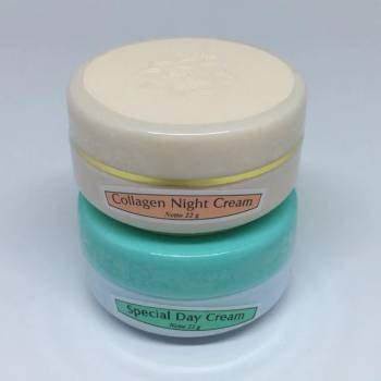 Viva Paket Krim Siang dan Malam/ Spesial Day Cream &amp; Collagen Night Cream