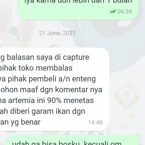 Artemia Optimus Prime Merah Net 50 Gram - OP MERAH