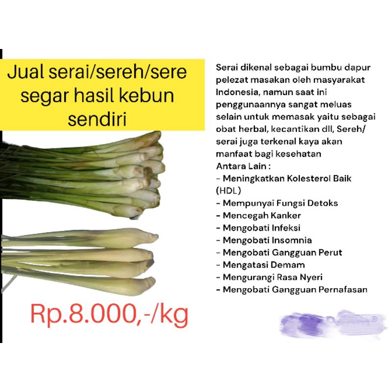 

SERAI / SEREH / SERE segar / 1kg