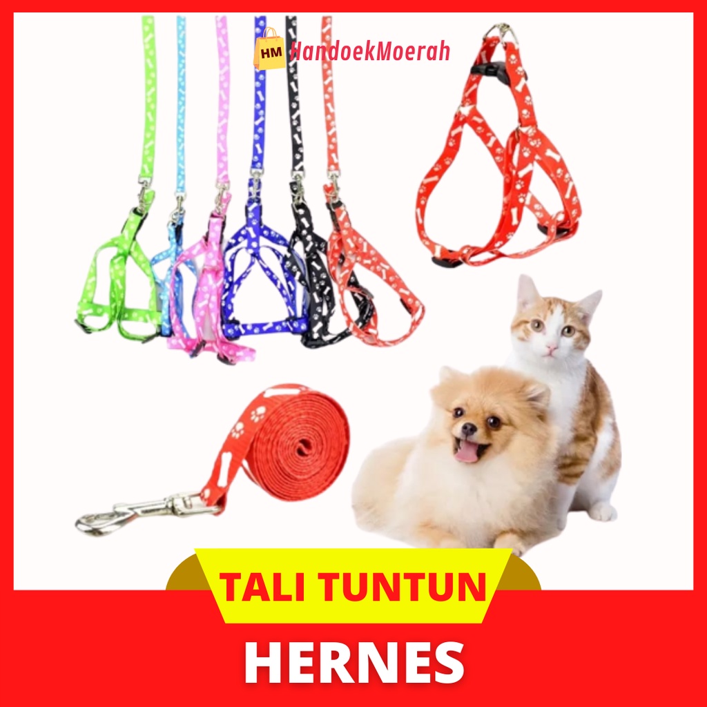 Tali Tuntun HERNES Kucing &amp; Anjing Murah