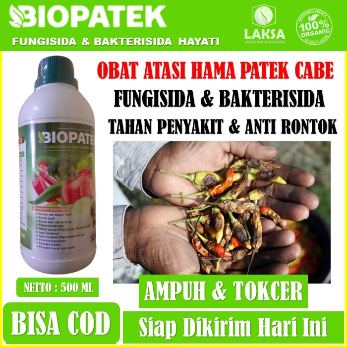 [TERLARIS] OBAT HAMA PATEK CABE BIOPATEK FUNGISIDA BAKTERISIDA HAYATI, Obat Patek Cabe Ampuh BIOPATE
