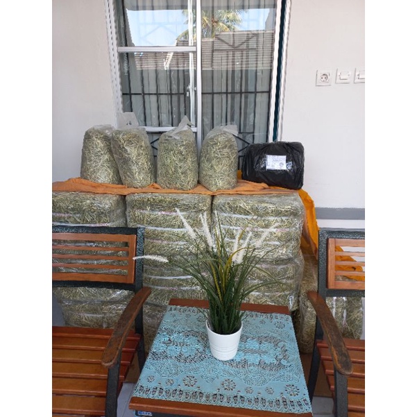 Rumput Kering Hay Timothy 1Kg untuk kelinci dan Marmut