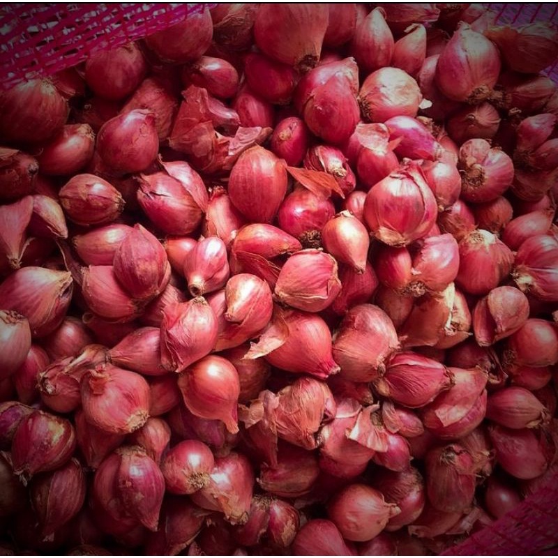 

Bawang Merah Solok Fresh Box 1kg