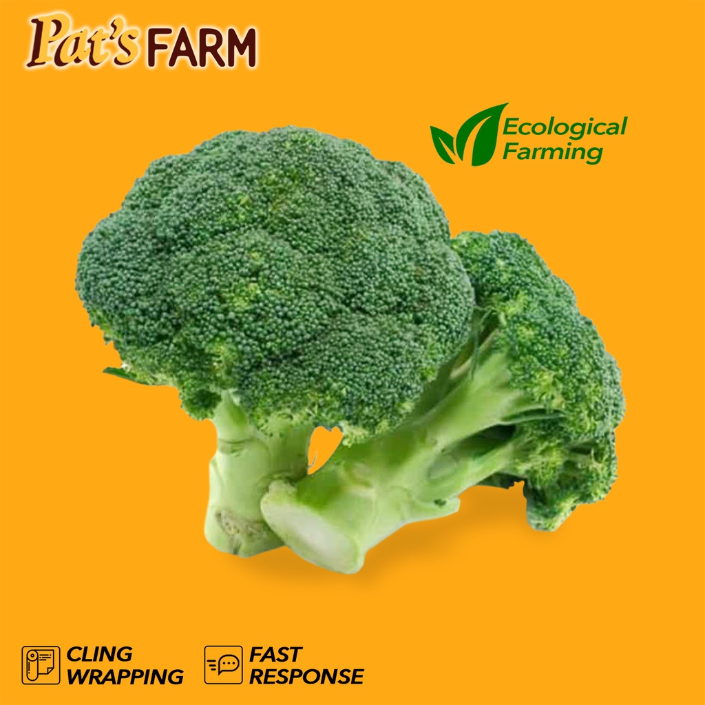 

Brokoli Lokal (Bersih) / Broccoli