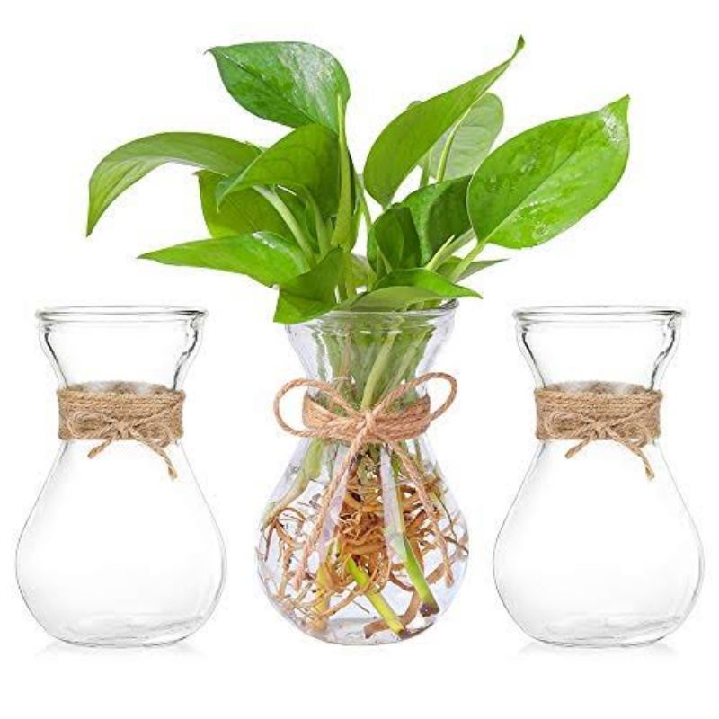 Vas Bunga Kaca Bening Cantik Kedaung 17cm