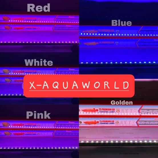 SAKKAI PRO - Lampu Tanning T5(Kotak merah) - 92cm