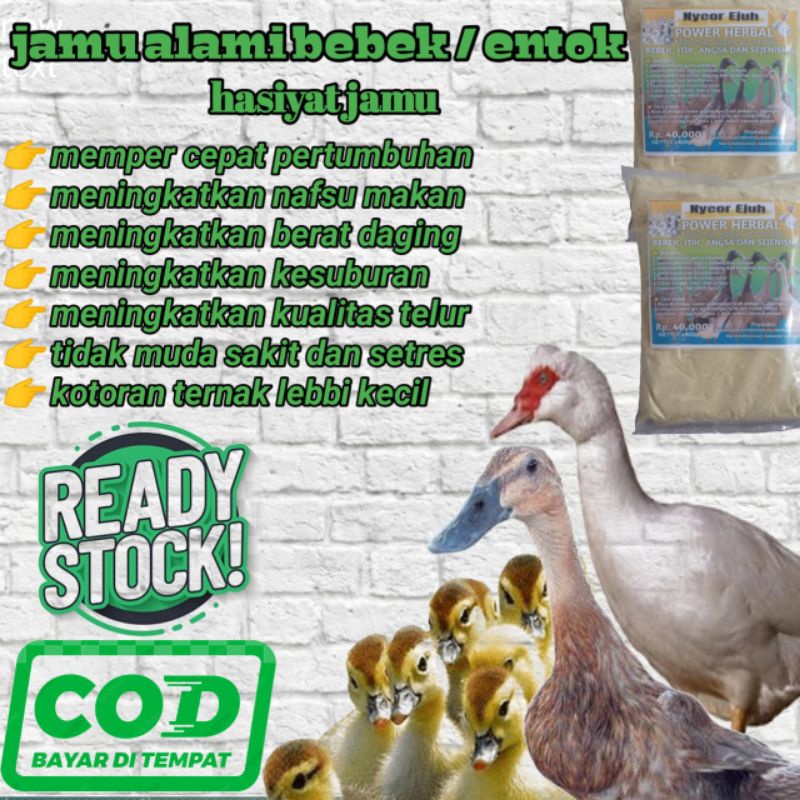 

JAMU BEBEK ENTOK ITIK