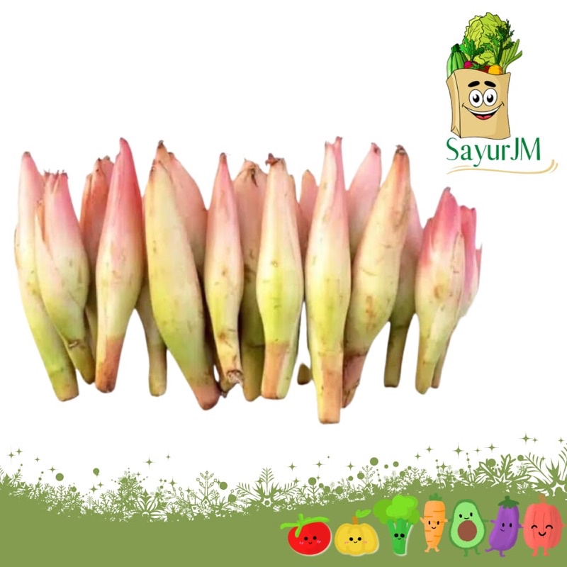 

SayurJM - Bunga Kecombrang Segar 250gr / Kincung