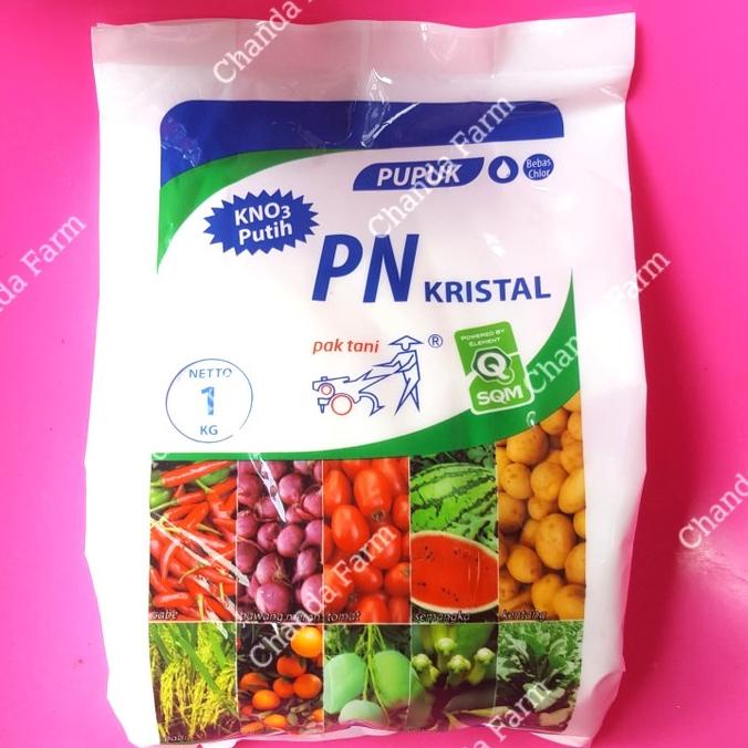 Pupuk KN03 Potassium Nitrat Kristal 1KG