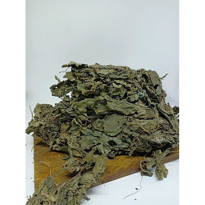 

DAUN JAMU SAMBAH GETEH / KEJI BELING KERING JAMU TERMURAH -50 GRAM