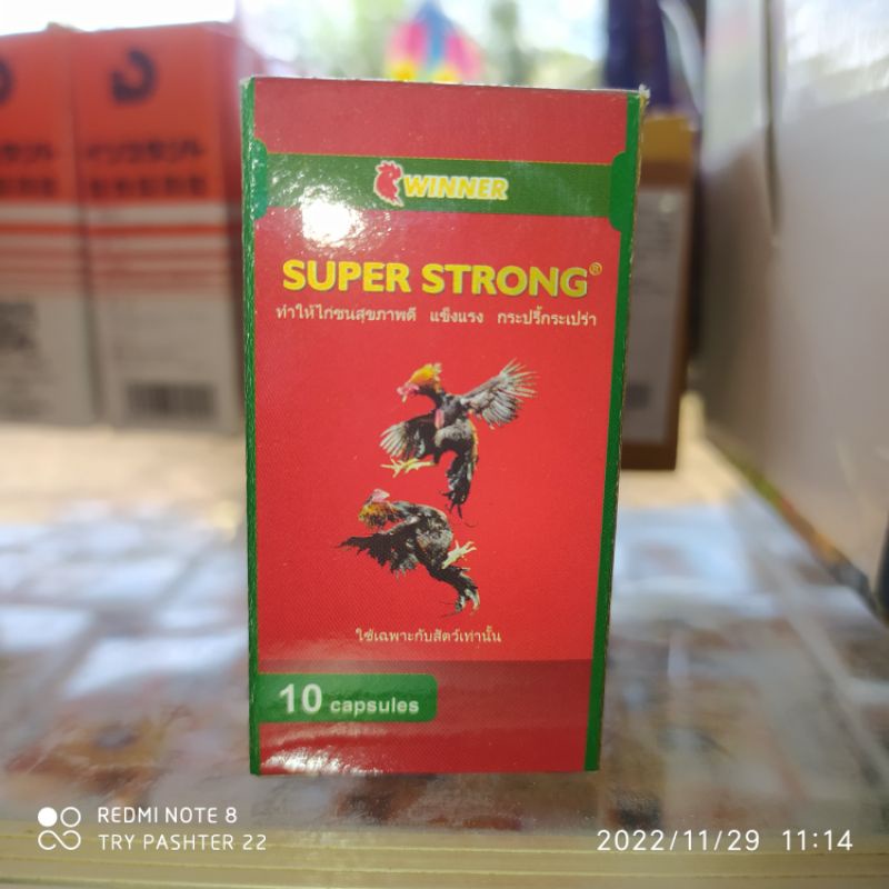 obat ayam, untuk si jago, obat kuat, obat ayam petarung