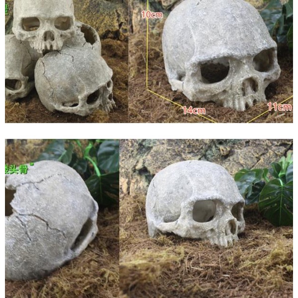 Hiasan Akuarium Fosil Tengkorak Manusia