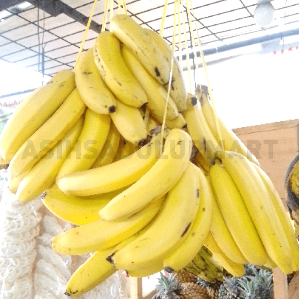 Pisang  Cavendish / C. Sunpride / Ambon Lumut / Pisang Tanduk 1kg | Asih Sadulur Mart