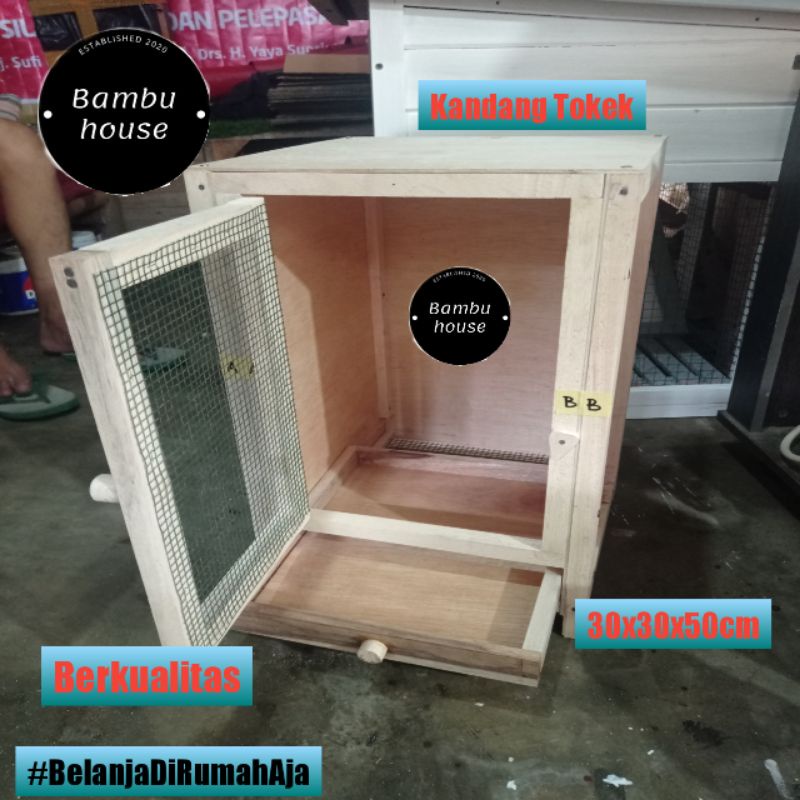 Kandang Hewan Tokek | Lizard Cage