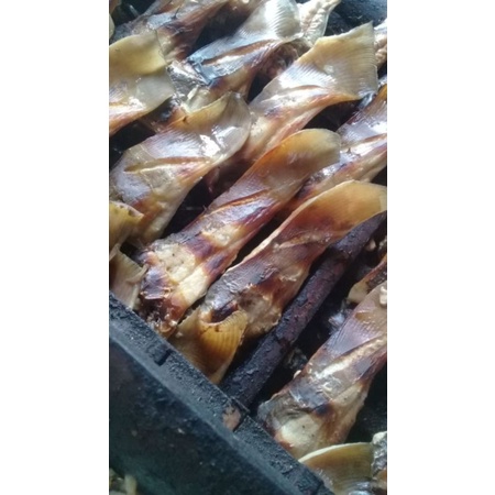 

PAKET| USAHA| RESELLER 1|PEMULA IKAN ASAP |PARI BESTSELELR |5KG |ISI 10PACK| DI VACUM|
