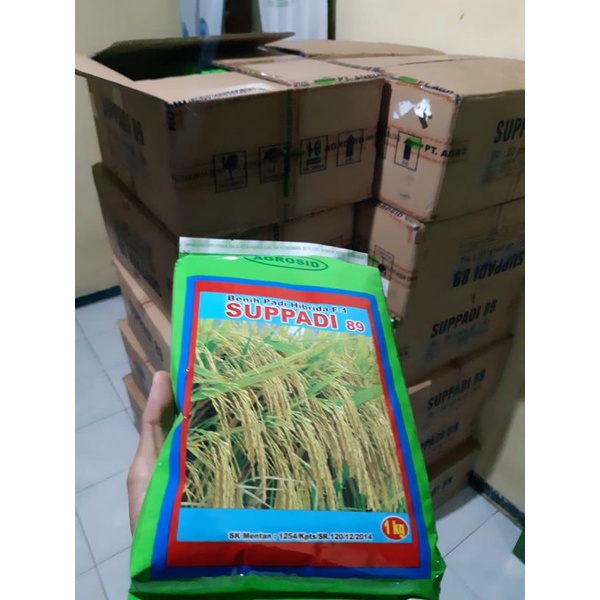 JUAL GROSIR 10 kg Padi Supadi 89 Grosir Kualitas original Pabrik