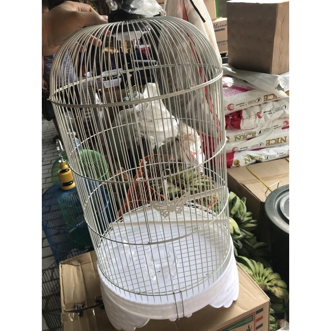 KANDANG LOVEBIRD SANGKAR LOVE BIRD MERK BOOM