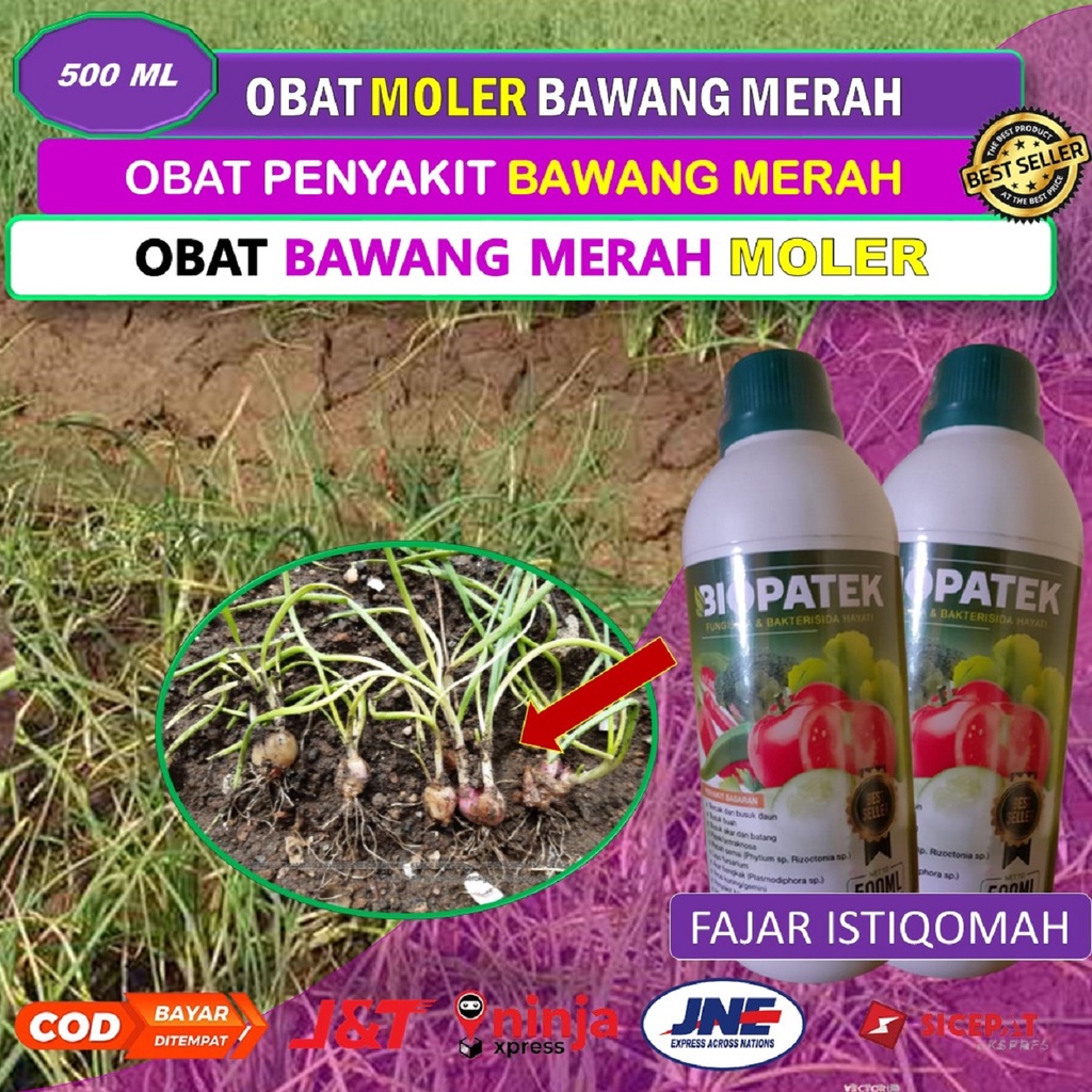 PROMO BIOPATEK fungisida hayati obat bawang merah anti moler (500 ML) - obat moler pada bawang merah
