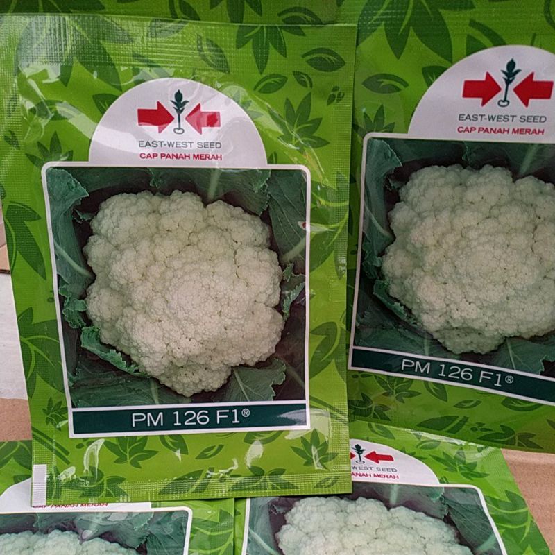NEW BENIH BUNGA KOL PM 126 F1 CAP PANAH MERAH (10GRM)