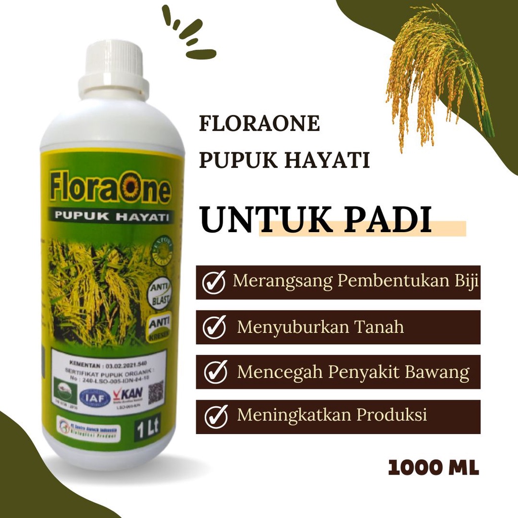 Jual Pupuk Hayati Floraone Pupuk Padi Masa Generatif Obat Padi Obat Padi Kresek Daun