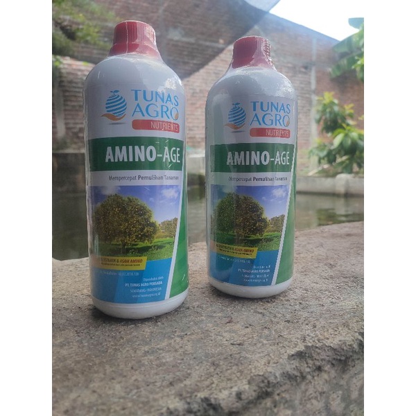 Asam Amino Age TUNAS AGRO- nutrisi tanaman