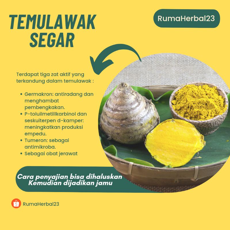 Jual Temulawak Segar 1kg Shopee Indonesia