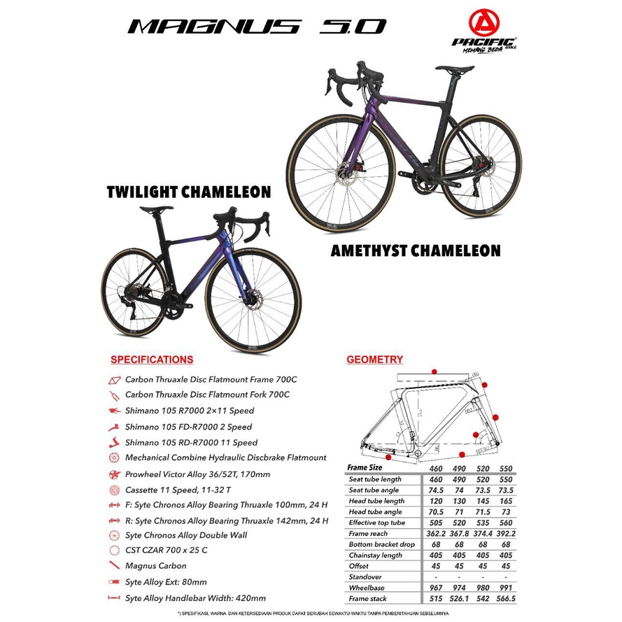 Sepeda Balap Roadbike PACIFIC MAGNUS 5.0 700C Carbon Shimano 105 2x11 Speed